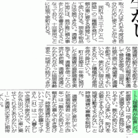 夕刊デイリー新聞20070825